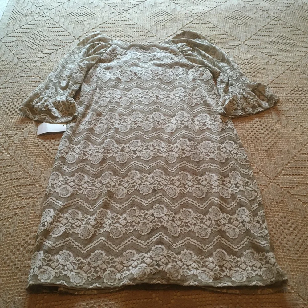Rabbit Rabbit Rabbit Lace Overlay Dress - Picture 6 of 16